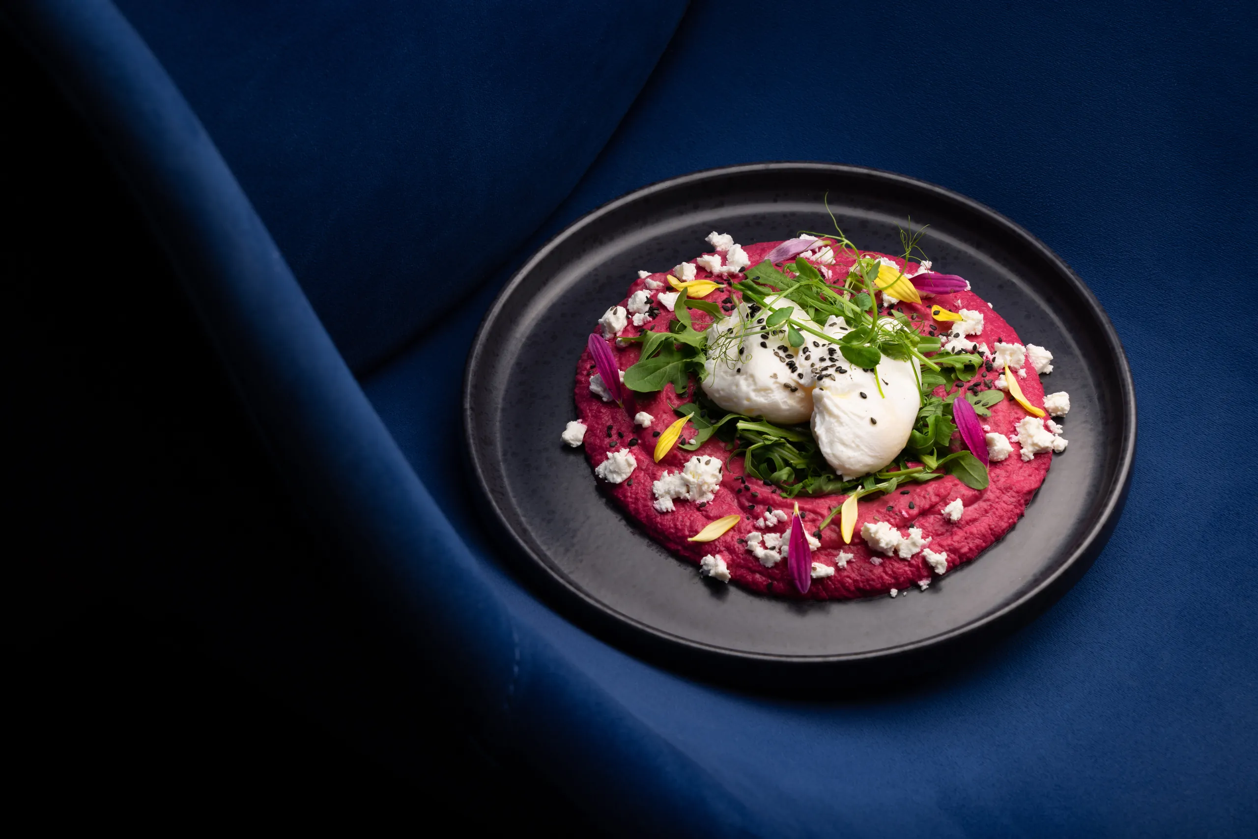Burrata with beetroot and herbs on a dark plate, on a blue velvet seat
