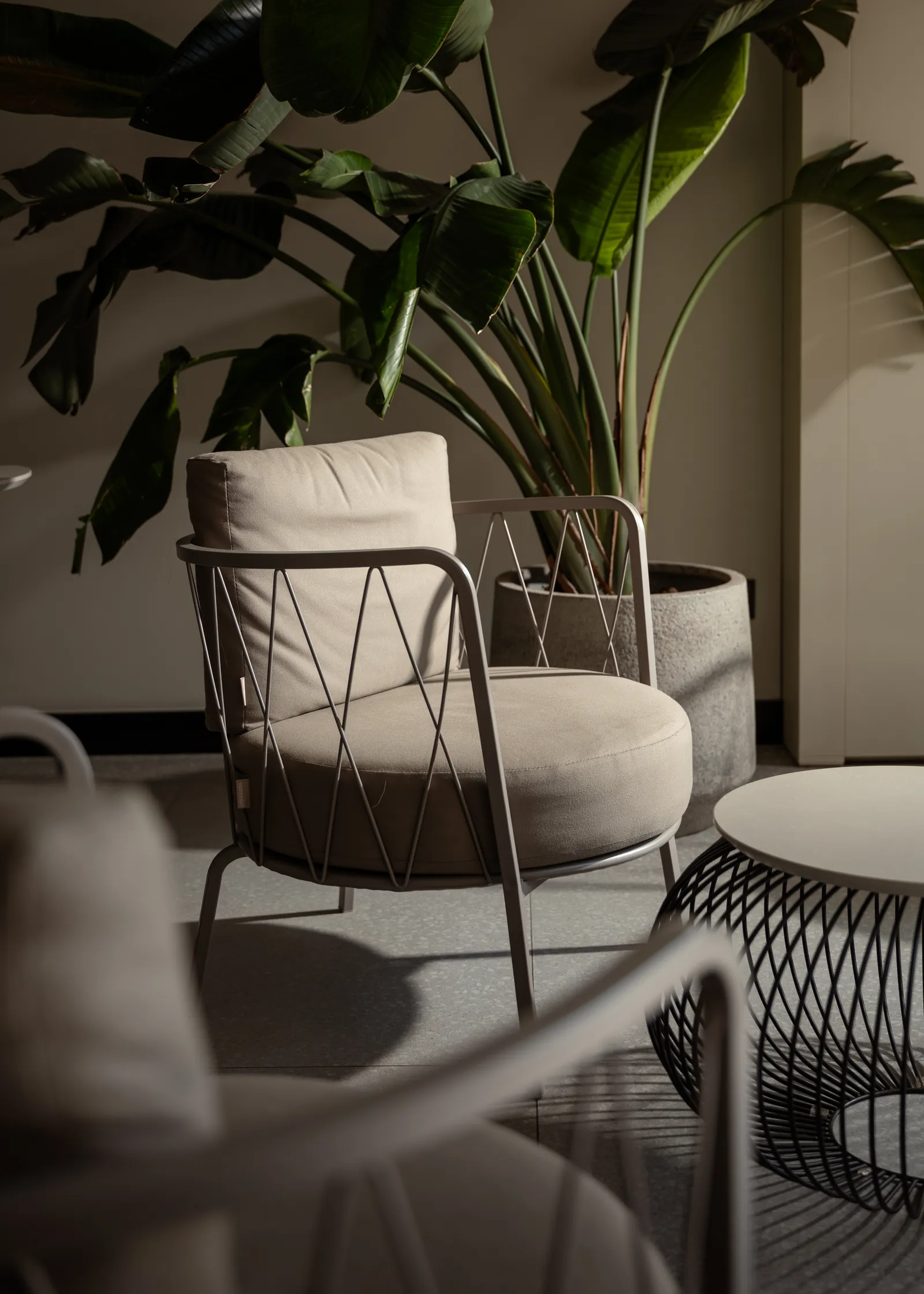 Armchair and side table beside a large plant