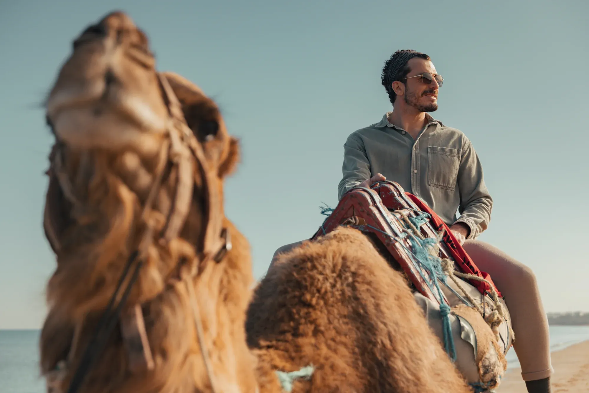 Close-up of a camel and its rider on a beach in Tunisia