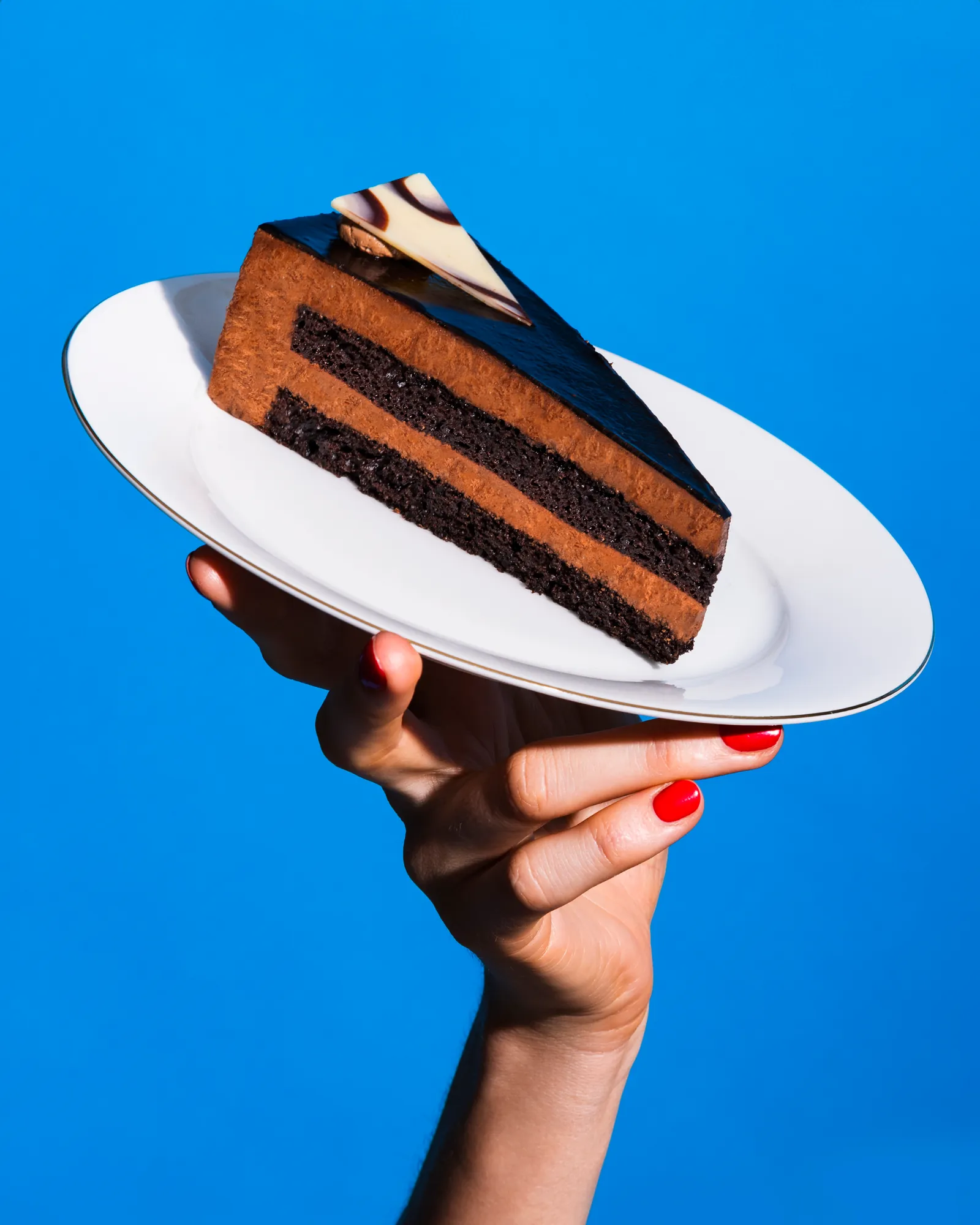 Hand holding a slice of chocolate cake on a white plate against blue