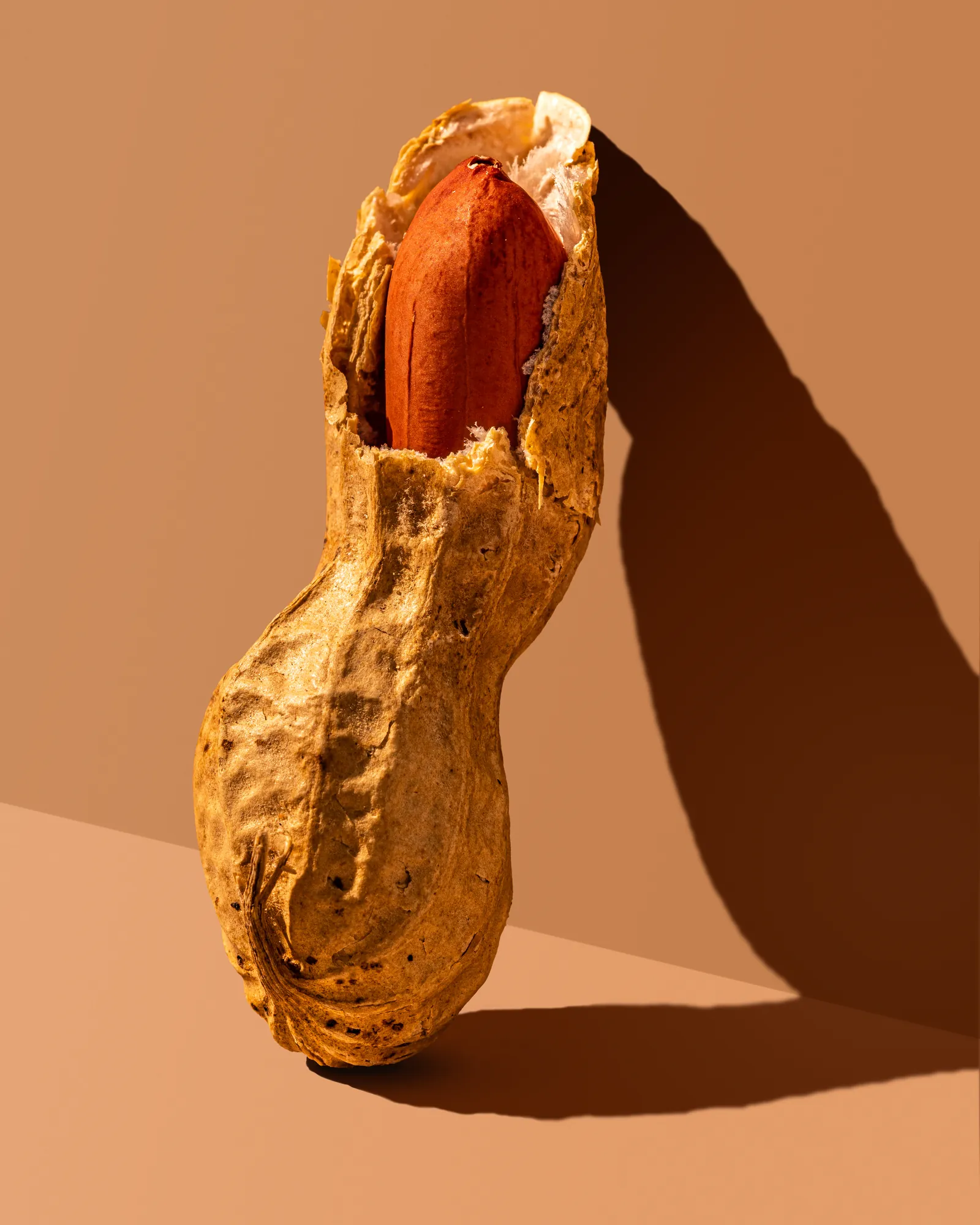 A single peanut in its shell casting a long shadow