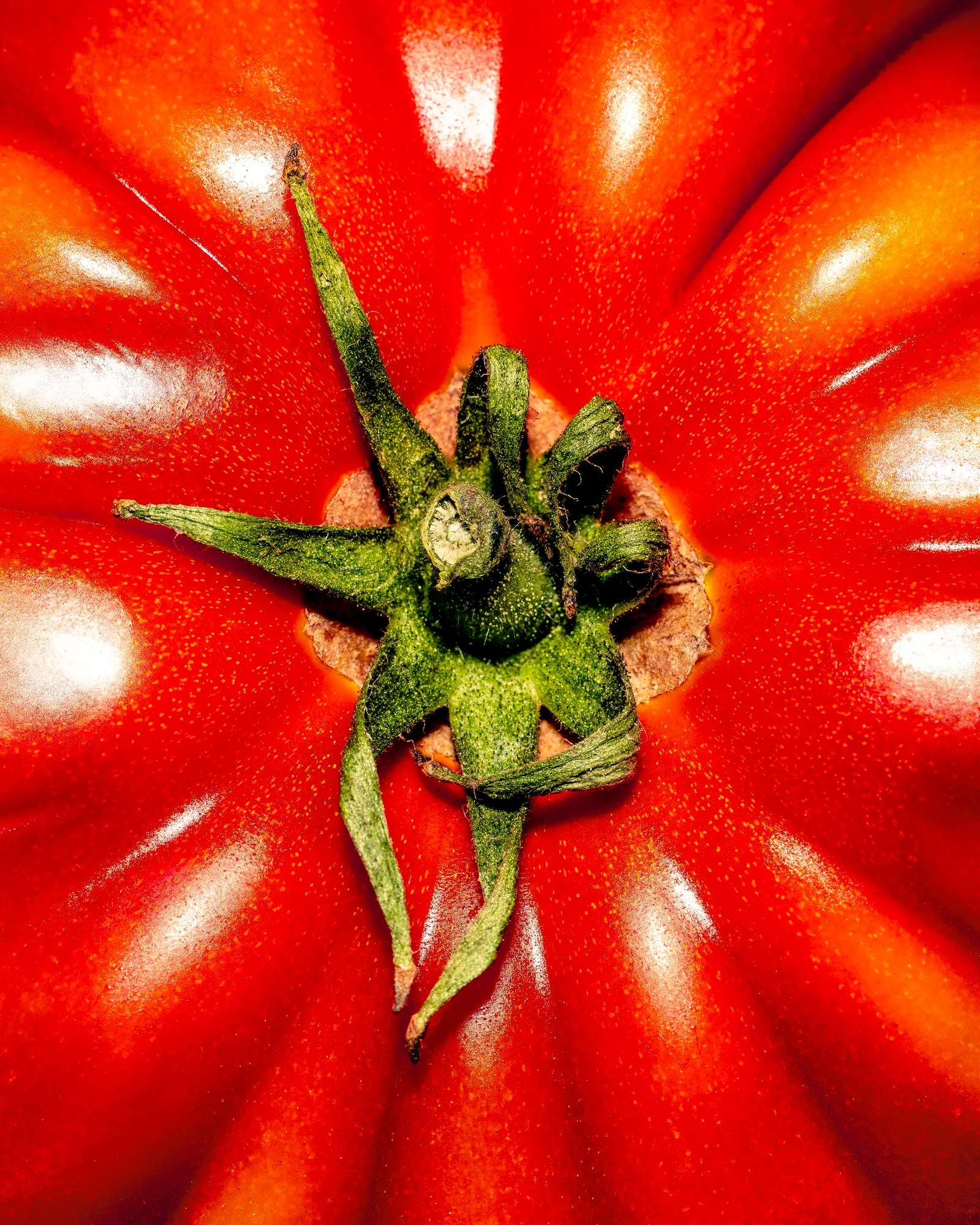 Close-up of a ripe tomato with its green top